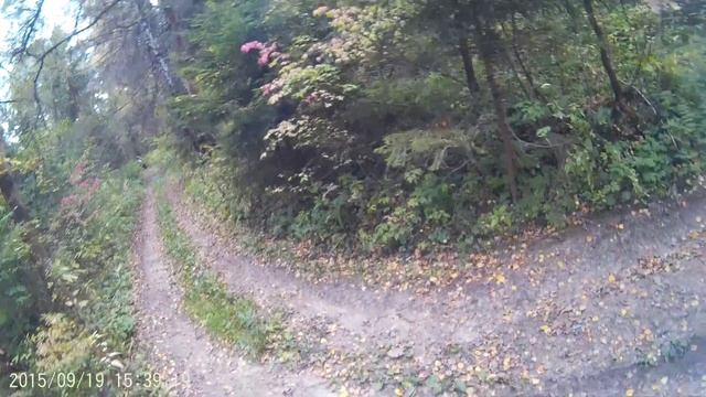 Питбайк PitsterPro 190 4V слику и говно не помеха смотреть онлайн