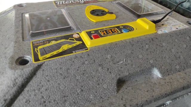 ПЕРШІ КУРЧАТА НА 19-ТИЙ ДЕНЬ! НОВИЙ ІНКУБАТОР ТЕПЛУША ЛЮКС НА 72 ЯЙЦЯ! ІНКУБАТОР З КУРЧАТАМИ смотреть онлайн