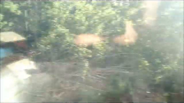 Волгоград из окна поезда от станции Бекетовская до Лесобазы Volgograd from the train window смотреть онлайн