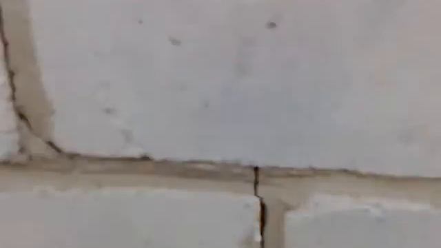 Маленькие паучки смотреть онлайн