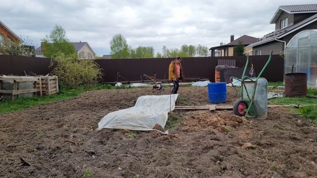 как приготовить посадочную яму и как высадить гигантскую тыкву в грунт чем ее подкормить смотреть онлайн