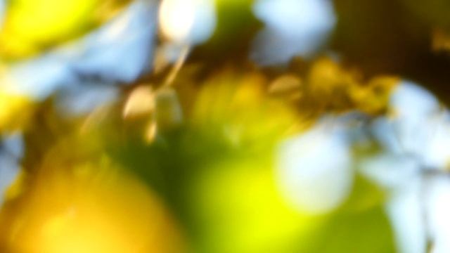 lumix dmc tz 80 смотреть онлайн