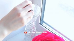 Стабилизированные цветы | МОЕ РАЗОЧАРОВАНИЕ | Опыт с глицерином