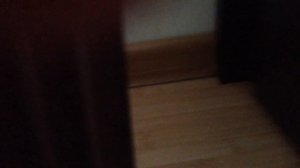 Как вызвать фею которое приносит подарок