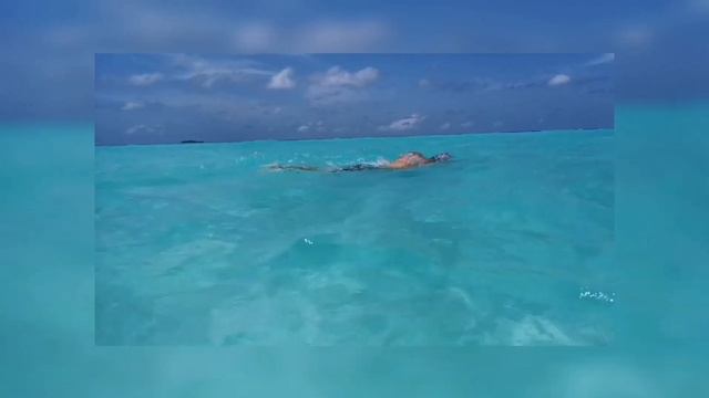 How To Swim Front Crawl Easy and Fast - Ocean Walker Technique (pool & open water) смотреть онлайн