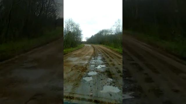 Дорога "М9-Александровка-граница Московской области" или 28Н-0426 на " Карте убитых дорог" смотреть онлайн