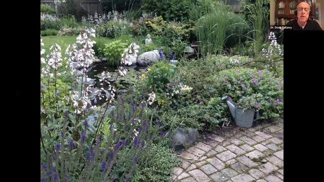 SDG Butterflyway Webinar: Natures Best Hope with Dr. Tallamy смотреть онлайн