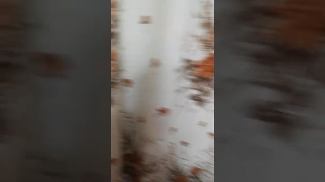 Вывоз мусора по ночам смотреть онлайн