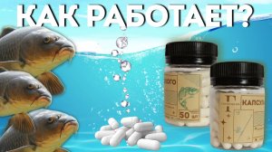 Как работает, Капсулы Гасвицкого, полное видео