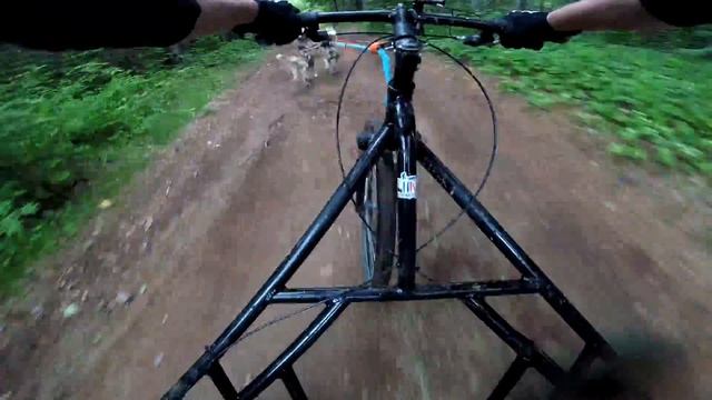 Тренировка упряжки хаски / Husky team training смотреть онлайн