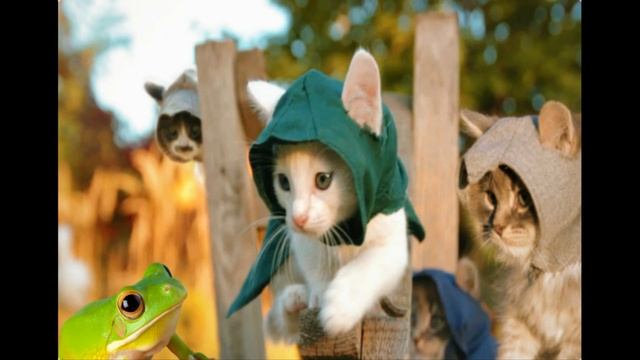 Прикольные картинки с котами/Смешные картинки с надписями смотреть онлайн