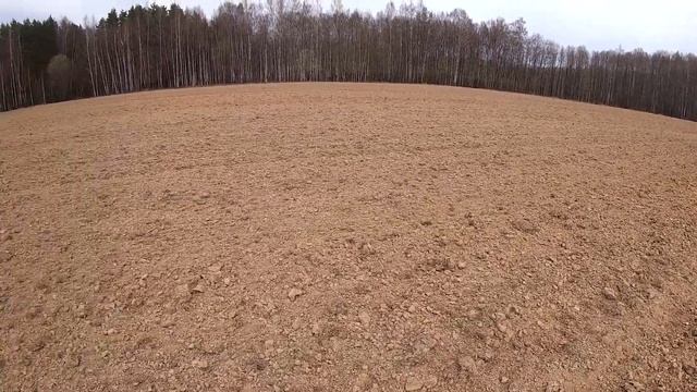 В поисках чешуи по полям Тверской области! Копатель "ДИВ Кладоискатель" смотреть онлайн