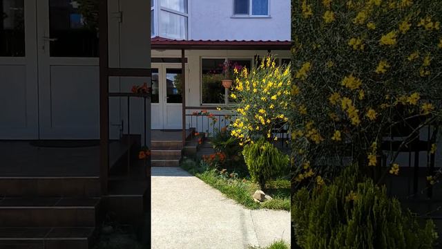 Жильё на Чёрном море по демократичным ценам. смотреть онлайн