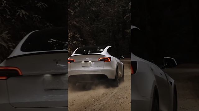 Tesla Model Y Alınır mı? #tesla #meyzileyoutubeshorts смотреть онлайн