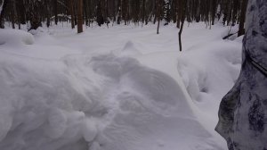 24 ЧАСА ВЫЖИВАЕМ В ПАЛАТКЕ В СТРАШНОМ ЛЕСУ! НАС НАШЛИ…