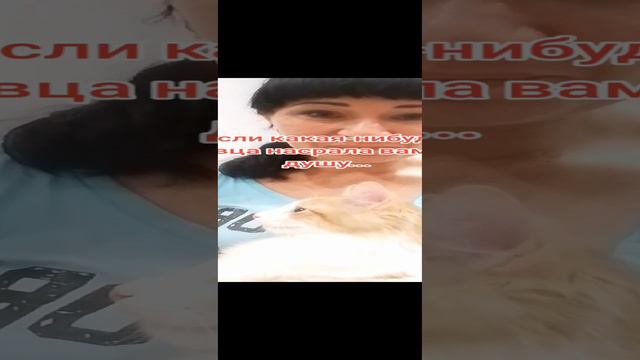 счастье заразительно...