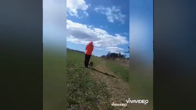 Минибуль самоизоляция:) смотреть онлайн