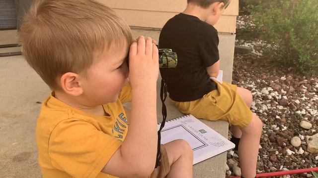 OUTDOOR SUMMER SCIENCE STEM SERIES: r FREE AND SIMPLE Educational At-Home Activities! смотреть онлайн