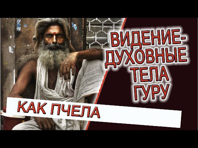 Видение - Духовные тела Гуру! смотреть онлайн