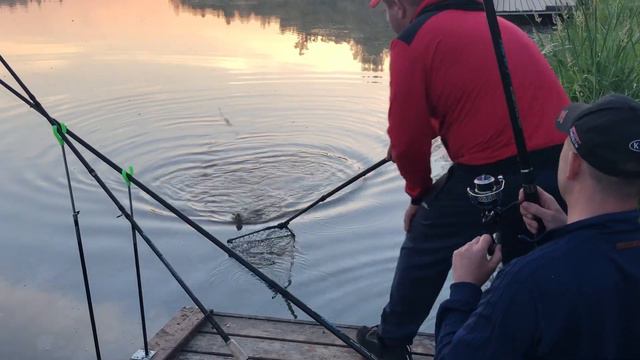 Холмы. РК "Марлин". Утренний карп на пирсе. смотреть онлайн