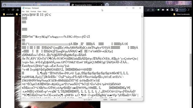 How to decode | Steganography смотреть онлайн