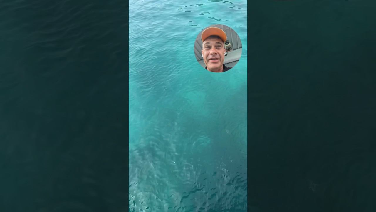 Остров Черепах - авторский тур . Подробности в комментариях #экскурсиивпаттайе смотреть онлайн