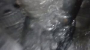 Замена ремня ГРМ Fiat Ducato 1 2.5 турбодизель часть 2