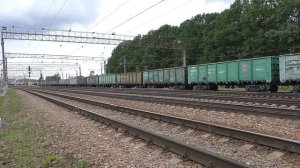 Маневровый тепловоз ЧМЭ3-3011 (ТЧЭ-18) выполняет маневровые работы на ст. Солнечная.