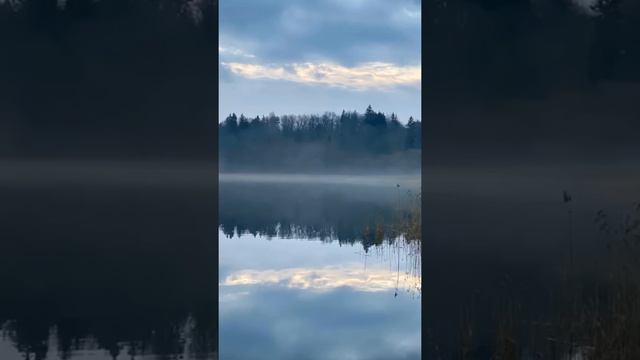 Утро на реке Птичь. Отражения. смотреть онлайн