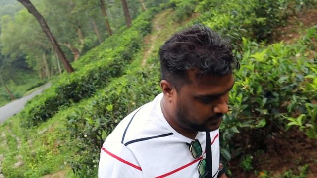 KANDY SRI LANKA TOURISM | BAHIRAWAKANDA VIHARA BUDDHA STATUE | KANDY TEA GARDENS KANDY SRI LANKA |4 смотреть онлайн