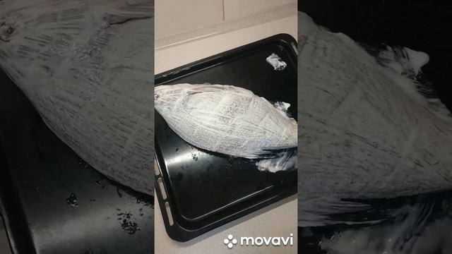 Туризм и Приключения