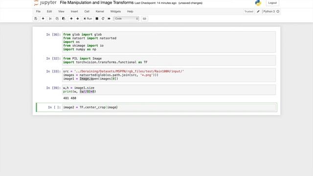 PyTorch Transformations Tutorial | Crops and File Manipulation (2020) смотреть онлайн