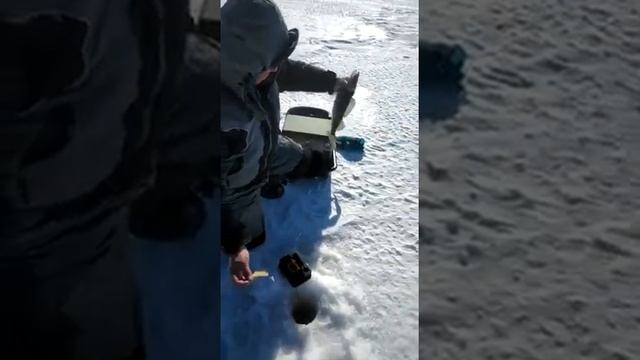 19.03.2022г. Поймал. Клевое местечко. Камское устье смотреть онлайн