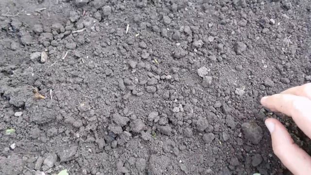 Уроки Пения и Вокала