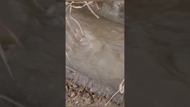 как строить пруды для форели на грунтовой и родниковой воде смотреть онлайн