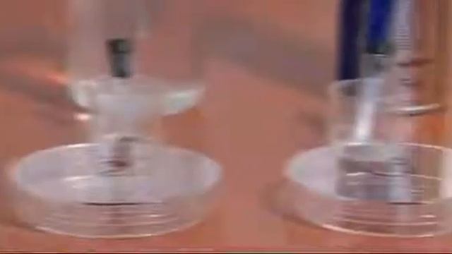 Опасность клопов - фрагмент передачи 1 канала смотреть онлайн