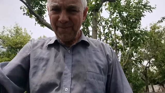 Про акация и мед смотреть онлайн