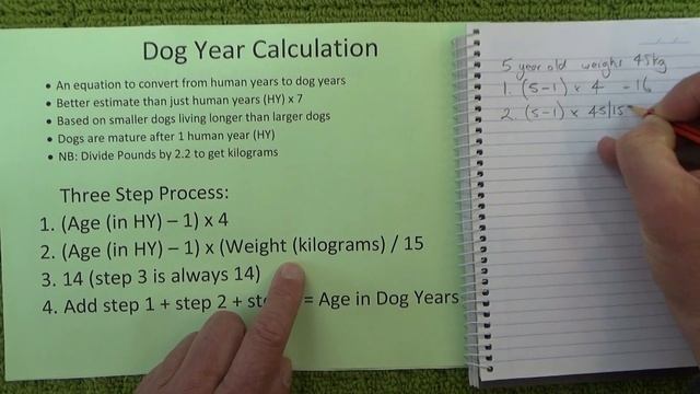 Dog Year Calculation - Updated Way to Convert a Dog's Age into Dog Years - Step by Step Instruction смотреть онлайн