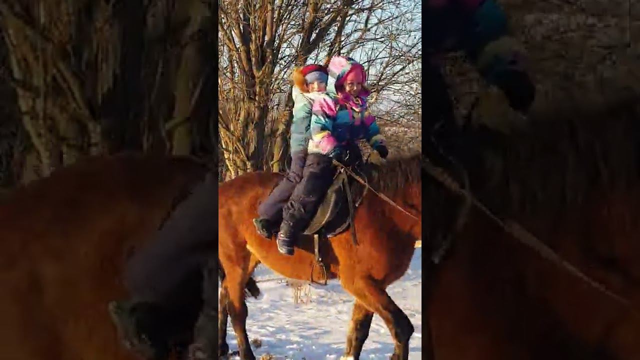 Парное катание верхом смотреть онлайн