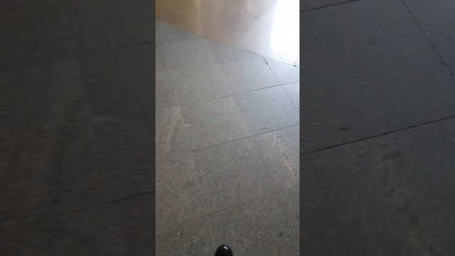 Санкт-Петербург. Московский вокзал.полиция на высшем уровне.молодцы. смотреть онлайн