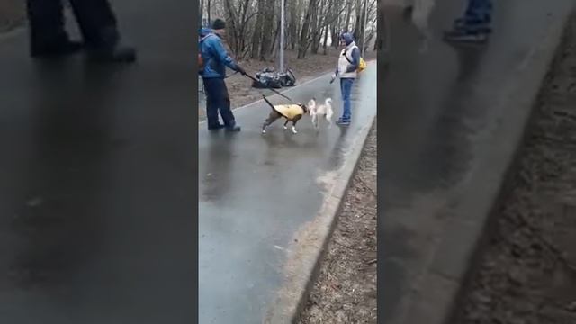 16 апреля 2022 г. смотреть онлайн