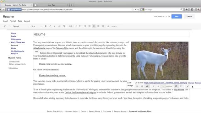 ePortfolio Tutorials on Google Sites: Adding Images & Videos смотреть онлайн