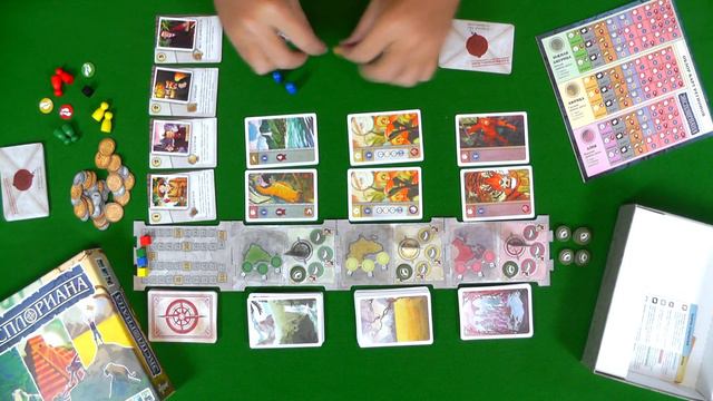 Знакомство с настольной игрой 