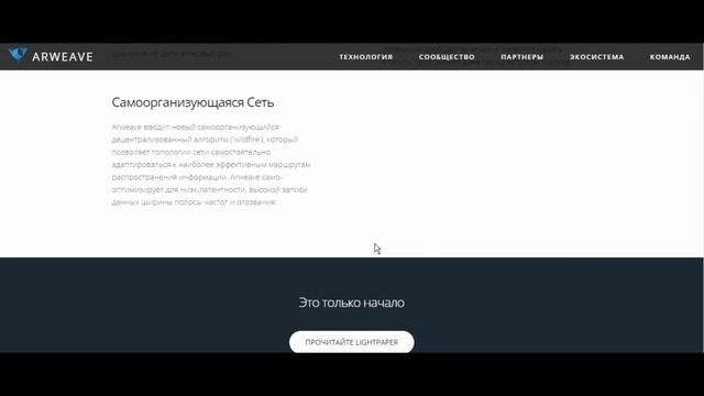 #ARWEAVE ico обзор.Добро пожаловать в будущее хранения данных. смотреть онлайн