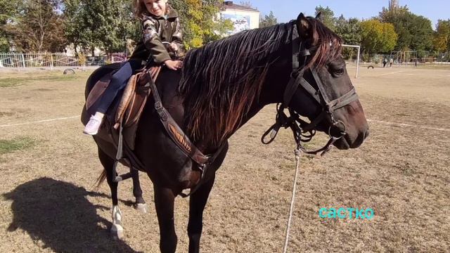 детям очень нравиться лошади. смотреть онлайн