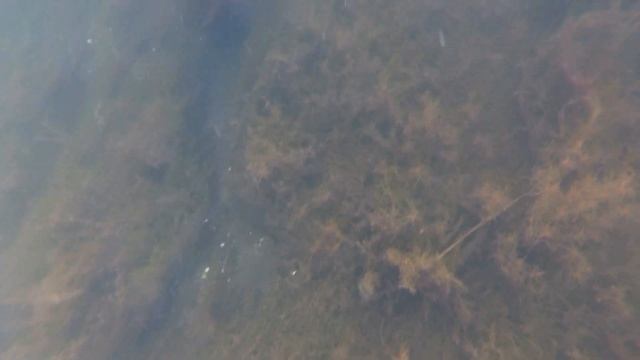 Под водой на озере Увильды - почистил дно от водорослей смотреть онлайн