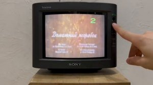 Тест телевизора SONY Trinitron KV-9MD1