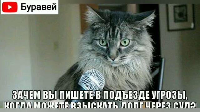 Колекторы. Деловой разговор. Буравей