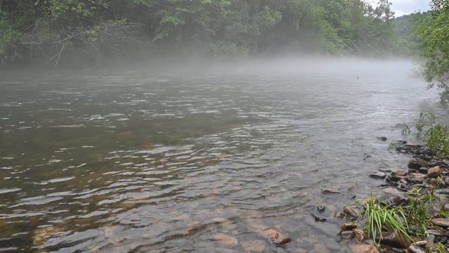 Приморье, тайга, горная речка. Звуки реки летним утром. смотреть онлайн