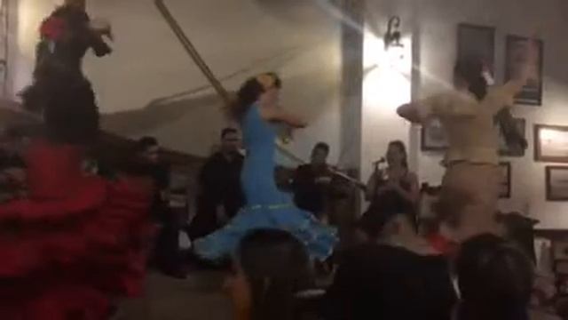 Baile flamenco Mesón de la Flota Habana Cuba смотреть онлайн